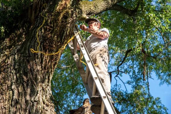 Local Tree Cutting Service for Safe Property Maintenance