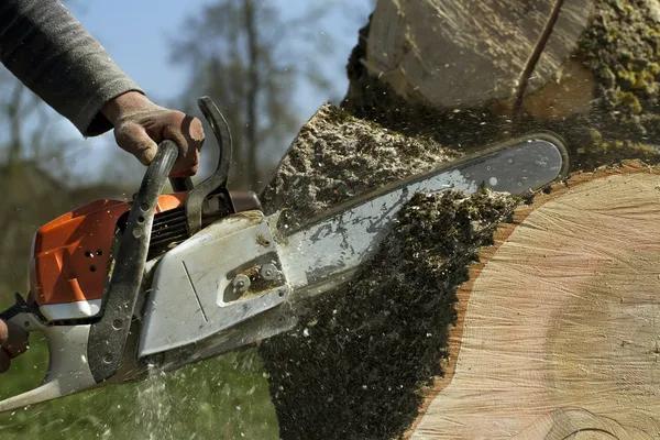 24/7 Tree Service Near Me for Emergency Storm Damage Support