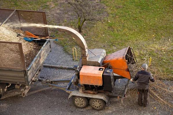 Affordable Tree Service Springfield, IL for Residential Properties