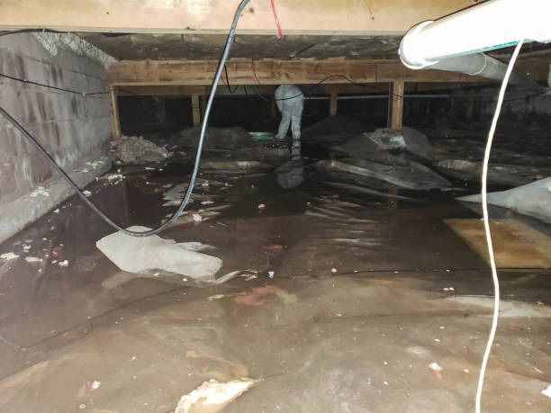 Top Benefits of Hiring an Insulation Company in Prince George