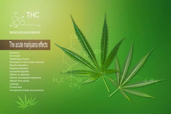 Understanding THCA Products in Austin Texas